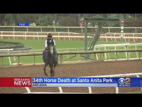 Another Weekend, Another Horse Death -- 34th Animal Euthanized At Santa Anita Park