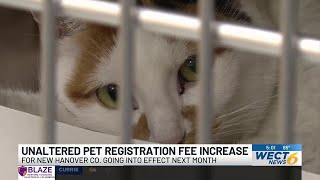 Unaltered pet registration fee increase for New Hanover Co. going into effect next month