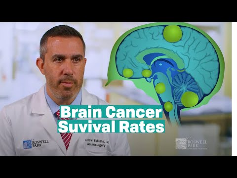 Understanding Brain Tumor Survival Rates