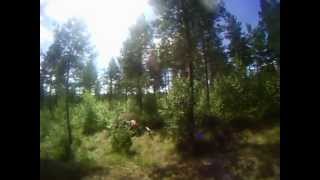 Suunnistusripari 2013 - Sanni