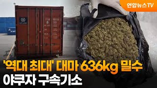 '역대 최대' 대마 636kg 밀수…야쿠자 구속기소 / 연합뉴스TV (YonhapnewsTV)