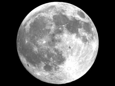 [NETWORK23] 23rd Century Dub  (Dub - Tec - Nic 001)