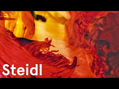 Metamorphosen | Fotografin Herlinde Koelbl