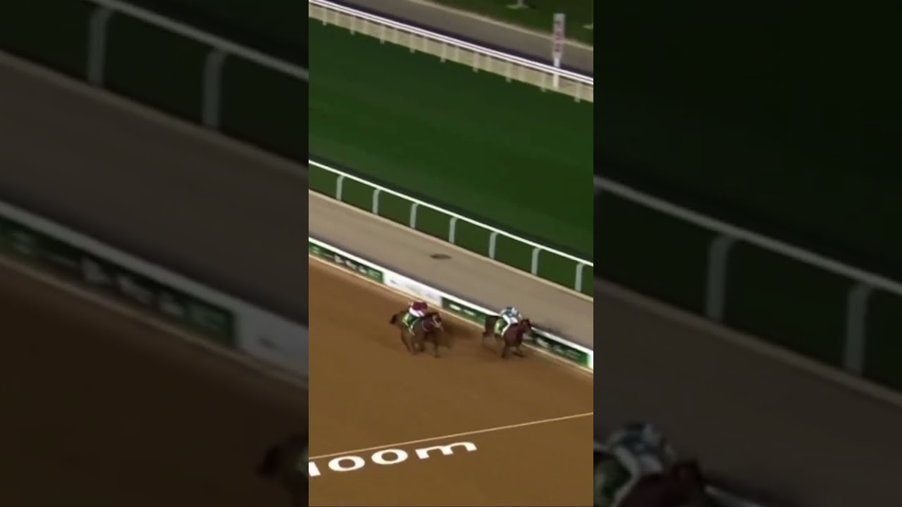 Saudi Cup 2025 $10 million prize money #foreveryoung #RuseiSakai  #YahagioftheWorld  #SusumuFujita