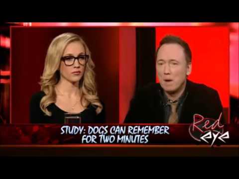 03-03-15 Kat Timpf on Red Eye - Dogs Have Short Memories