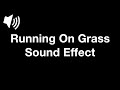 Running On Grass Sound Effect 4K