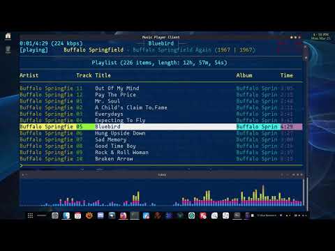 Short demo of mpcava running mpcplus MPD client and cava spectrum visualizer