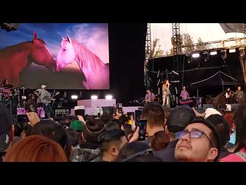 BAILANDO LENTOS - Daniela Spalla ft Bandalos Chinos