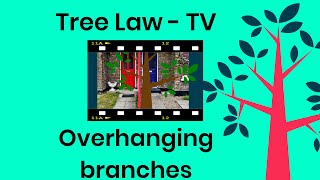 Cutting Overhanging Branches