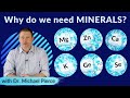 You Need to Know - About Mineral Supplements