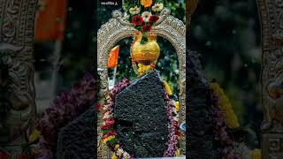 Download lagu तेरी महिमा कोई नहीं जाने शनिदेव // Teri mahima koi nahi jane sanidev....... mp3