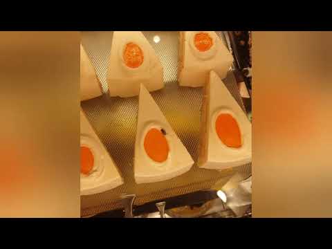 Midge Insects on cake at HSR Layout Cakewala Shop