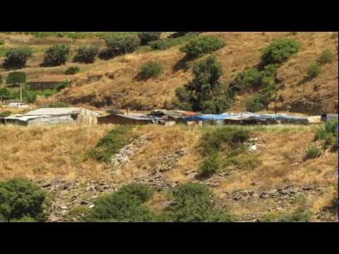 Arrumação / Tadeu Franco