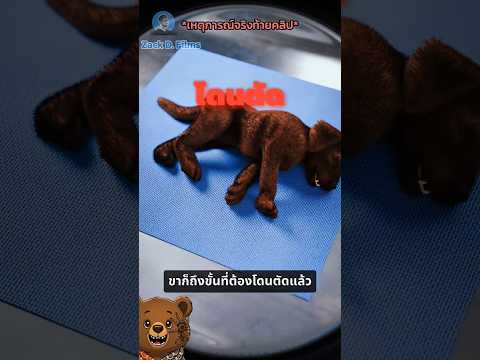 ทำไมน้องหมาโดนตัดขา #generalknowledge #story #zackdfilm