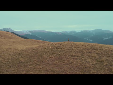 Valentin Uzun - Я еду домой