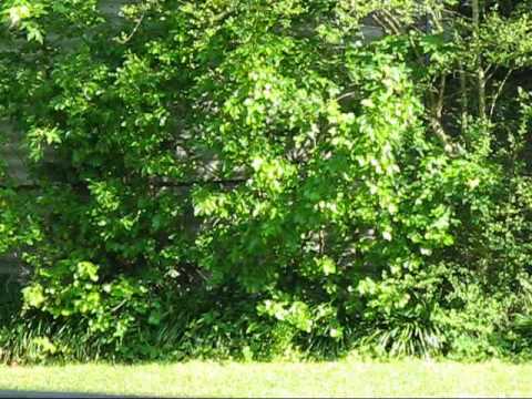 download lagu mp3 mp4 Beeport, download lagu Beeport gratis, unduh video klip Beeport