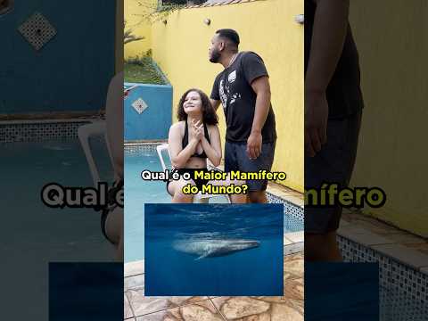 SE ERRAR, CAI NA PISCINA