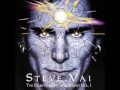 Now we Run - Steve Vai (Amazing The Elusive Light and Sound Version)