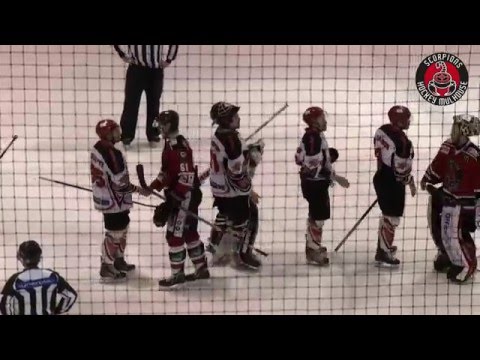 PLAY OFF - Scorpions de Mulhouse - Bisons de Neuilly (06/03/2016) : Le résumé