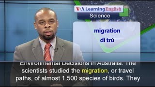 Phát âm chuẩn - Anh ngữ đặc biệt: Migrating Birds (VOA)