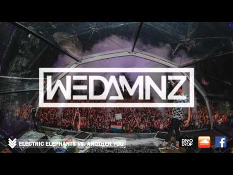 Electric Elephants vs. Another You (WEDAMNZ Edit) [Dash Berlin Dashup]