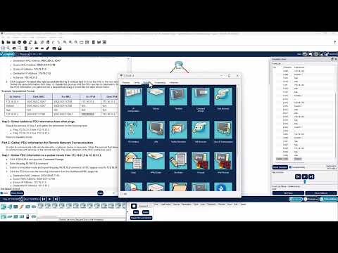 CCNA1-ITNv7 - 9.1.3 Packet Tracer - Identify MAC and IP Addresses
