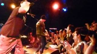 Transplants (Tall Cans)