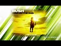 Bush - The Golden Age - Traduçãp