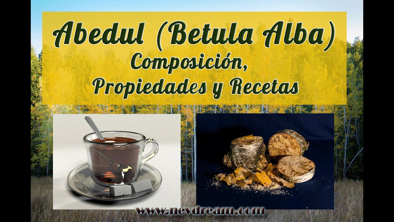 Watch Abedul. plantas diureticas y con otras propiedades Now Abedul. plantas diureticas y con otras propiedades
