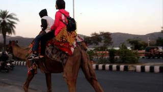 preview picture of video 'Camel ride in Jaipur'