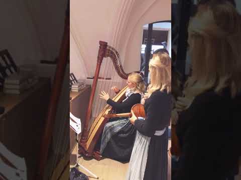 Perlseer Dirndl - Fia di von Hubert von Goisern