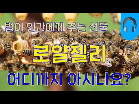 , title : '로얄제리 효능과 부작용 - 알고 먹자!'