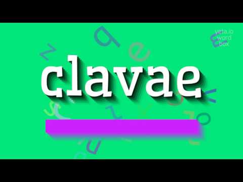 HOW TO PRONOUNCE CLAVAE? #clavae