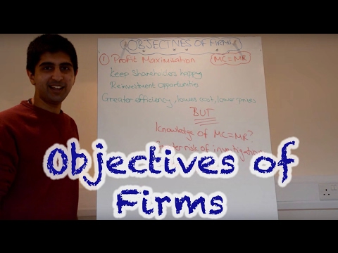 Y2/IB 10) Objectives of Firms - Profit Max, Rev Max, Sales Max, Satisficing