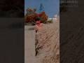 Bhojpuri Trending Downloadbhojpuri 4k Video Songsbhojpuri Video 420bhojpuri Video 4k