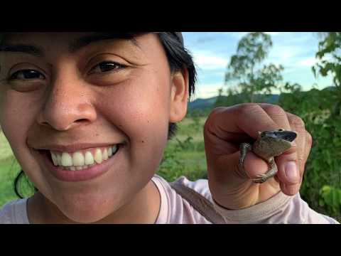 Herpetologist video 1
