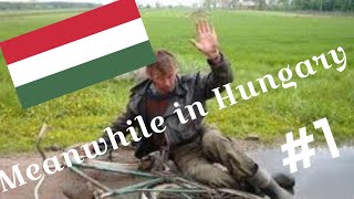 Meanwhile in Hungary #1