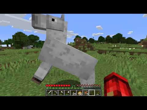 Alla Ricerca Degli Orsi Polari