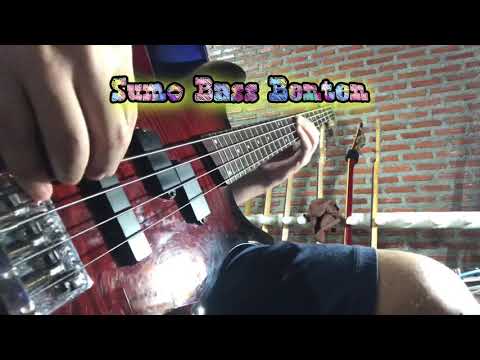 Play that funky music white boy_BassCover By_SumoBassBenten