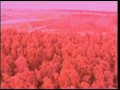 Gustavo Cerati "Pulsar" (Official Video)