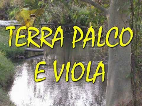 ABERTURA DO PROGRAMA TERRA PALCO E VIOLA