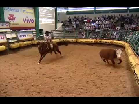 Festejo Maufer, uma máquina funcional!!