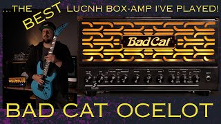 Video thumbnail for BAD CAT Amplification "OCELOT" w/ Doug Rappoport by Doug Rappoport