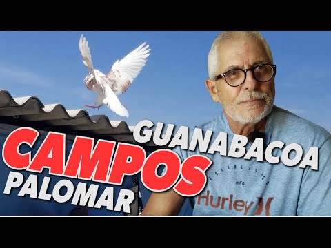 PALOMAR de Campos en Guanabacoa