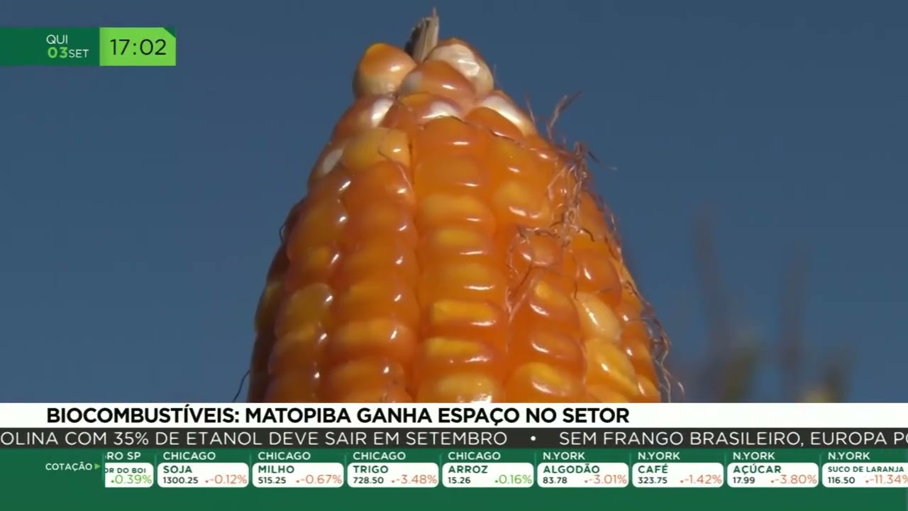 Biocombustíveis: MATOPIBA ganha espaço no setor