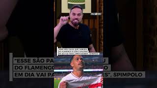 “Esse São Paulo que ganhou do Flamengo e com o salário em dia vai para Libertadores”, opina Spimpolo