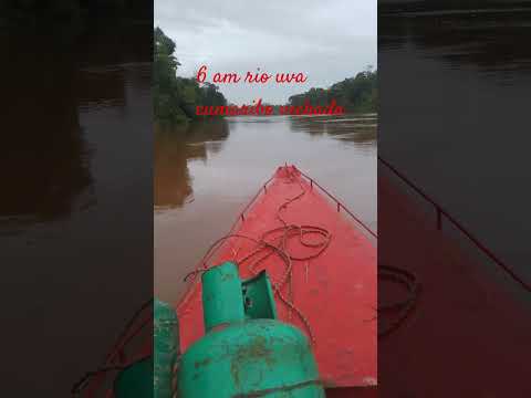 NAVEGANDO EL RIO UVA CUMARIBO VICHADA 🚤 #campo #rio #cumaribo #vichada #colombia