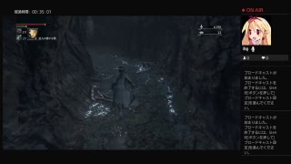 bloodborne　RTAの練習