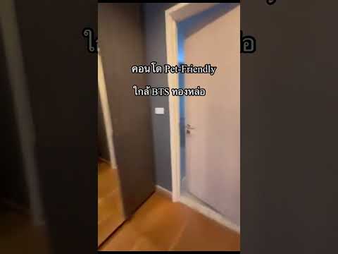 Pet-Friendly คอนโด DOWNTOWN สุขุมวิท 49 ใกล้รถไฟฟ้า BTS ทองหล่อ - video