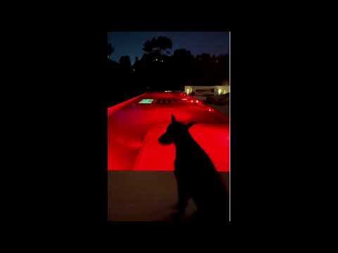 Hamza x Travis Scott type beat "Divan" (Prod. TND)